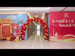 Riunione annuale decennale