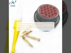 19 Contatti di presa diretta MIL-C-26482 II per una connessione durevole in applicazioni pesanti.MS3476W25-19PN.Olive Green Camium Plating,19 Pins maschili.